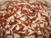 Mieczyk Hellera - Xiphophorus helleri